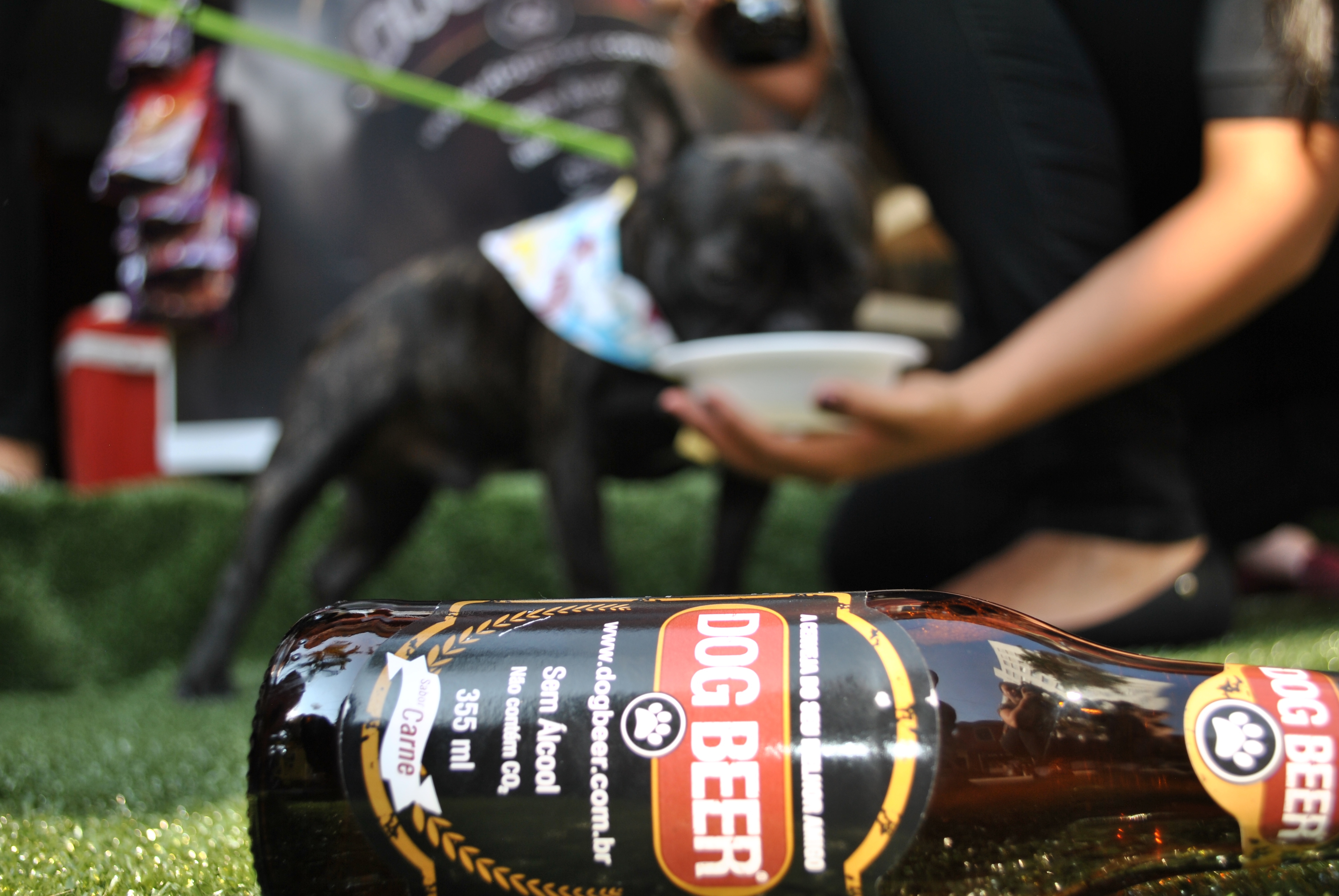 Dog Beer - Bulldog Francês