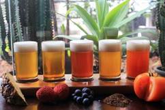 cervejaria nacional sampler