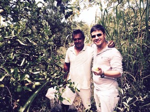 Propriedade em Itaperuna, RJ, que cultiva o limão siciliano (Foto: Divulgação)