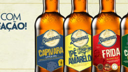 cervejaria-blumenau