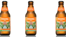 magna-pils