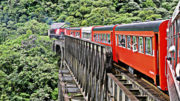 Beer Train Bodebrown Serra do Mar (3)