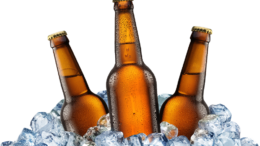 blank-beer-bottles-on-ice-short