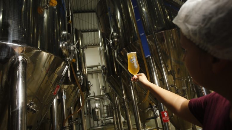 Cerveja Blumenau