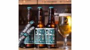 Chope Brewdog Punk IPA