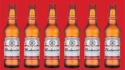 Budweiser